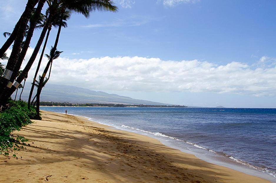 Kealia Resort 203 Kihei Zewnętrze zdjęcie